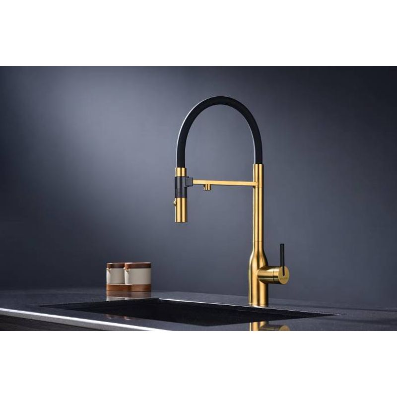 Смеситель для кухни Paulmark Magneto One Ma213188-BG брашированное золото