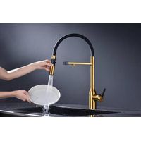 Смеситель для кухни Paulmark Magneto One Ma213188-BG брашированное золото — 8