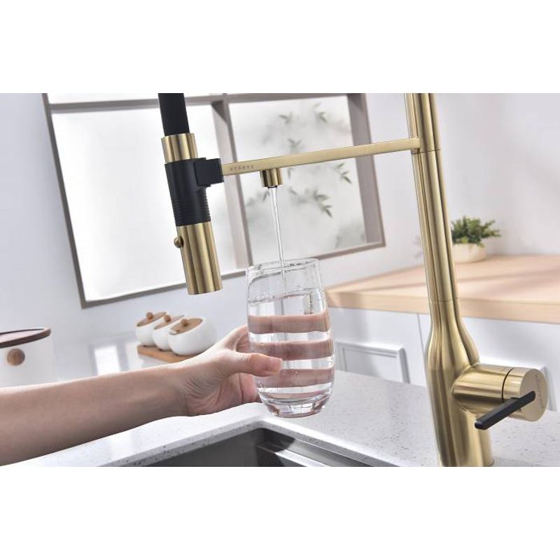 Смеситель для кухни Paulmark Magneto One Ma213188-SBG светлое брашированное золото