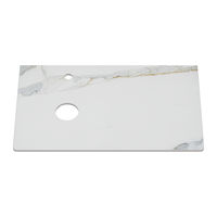 Столешница для ванной Brevita Pallisandro 80 см керамогранит / PA01-80 серый — 2