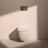 Кнопка смыва Ideal Standard ProSys Oleas SMARTFLUSH M1 R0117AA хром — 4