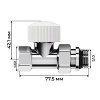 Набор термостатический прямой Royal Thermo Design 1/2"М30х1,5 (Хром) RATVDP11212CH — 4