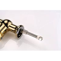 Смеситель для кухни Paulmark Retro Re213226-G золото — 3