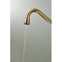 Смеситель для кухни Paulmark Retro Re213226-G золото — 6