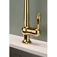 Смеситель для кухни Paulmark Retro Re213226-G золото — 11