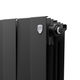 Royal Thermo Piano Forte 200 Noir Sable