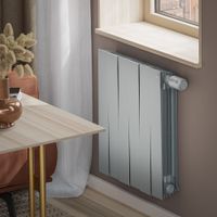 Радиатор биметаллический Royal Thermo PianoForte 500 Silver Satin VDR80 - 6 секц. — 4
