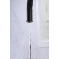 Смеситель для кухни Paulmark Salix Sa213419-418(BLM) черный металлик — 8
