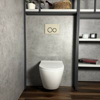 Кнопка смыва Roxen Santi 410260BG — 2