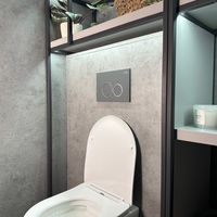 Кнопка смыва Roxen Santi 410260DG — 4