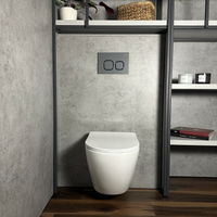 Кнопка смыва Roxen Santi 410280DG — 2