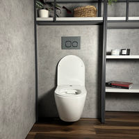 Кнопка смыва Roxen Santi 410280DG — 3