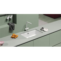 Смеситель для кухонной мойки Schock Vitus full colour 710702 для питьевой воды и с поворотным изливом поларис — 4