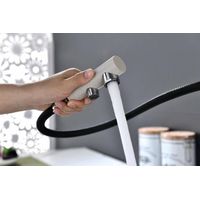 Смеситель для кухни Paulmark Serpentine Se213222-BE бежевый — 6