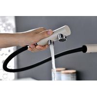 Смеситель для кухни Paulmark Serpentine Se213222-BE бежевый — 5