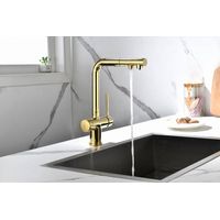 Смеситель для кухни Paulmark Serpentine Se213222-G золото — 14