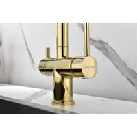 Смеситель для кухни Paulmark Serpentine Se213222-G золото — 6