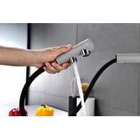 Смеситель для кухни Paulmark Serpentine Se213222-GR серый — 8