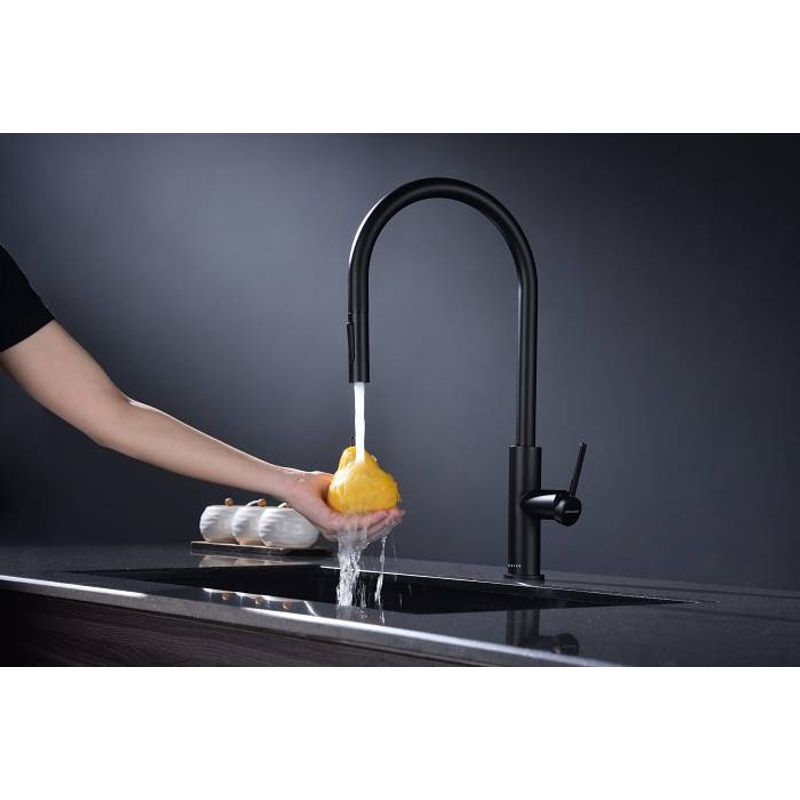 Смеситель для кухни Paulmark Senso Se215180-AN антрацит
