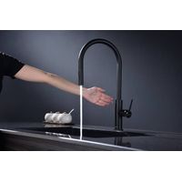 Смеситель для кухни Paulmark Senso Se215180-AN антрацит — 3
