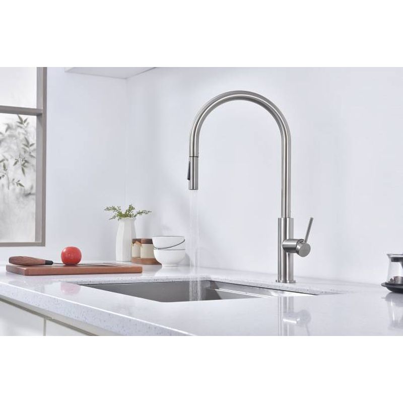 Смеситель для кухни Paulmark Senso Se215180-BS брашированная сталь