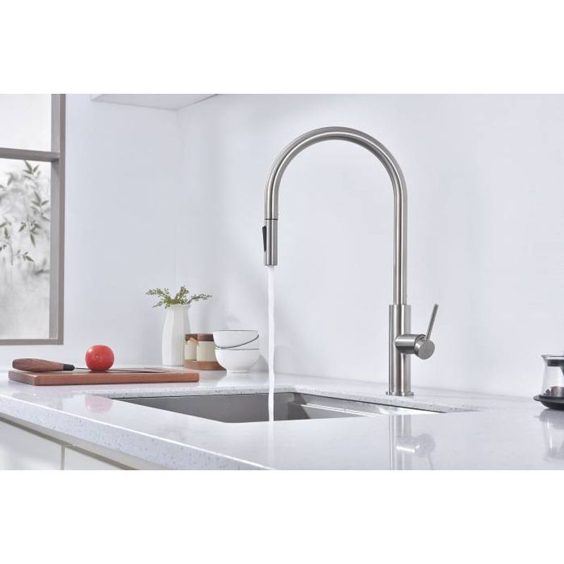 Смеситель для кухни Paulmark Senso Se215180-BS брашированная сталь