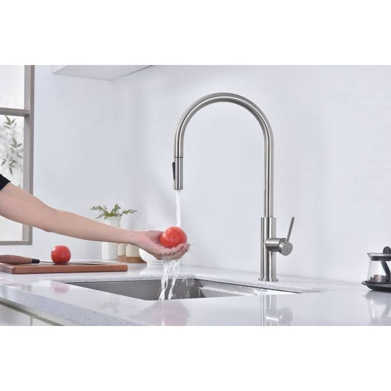 Смеситель для кухни Paulmark Senso Se215180-BS брашированная сталь