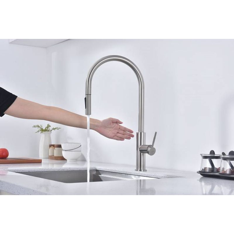 Смеситель для кухни Paulmark Senso Se215180-BS брашированная сталь