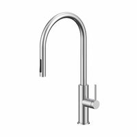 Смеситель для кухни Paulmark Senso Se215180-BS брашированная сталь — 1