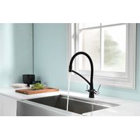 Смеситель для кухни Paulmark Siegen Si213111-308 черный — 2