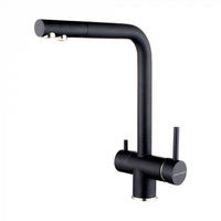 Смеситель для кухни Paulmark Skalen Sk213020-418(BLM) черный металлик — 1