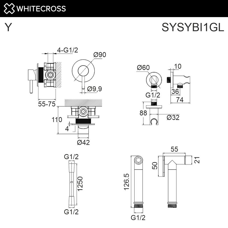 Система для биде скрытого монтажа WHITECROSS Y SYSYBI1GL (золото)