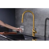 Смеситель для кухни Paulmark Universal Un213880-BG брашированное золото — 7