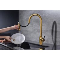 Смеситель для кухни Paulmark Universal Un213880-BG брашированное золото — 9