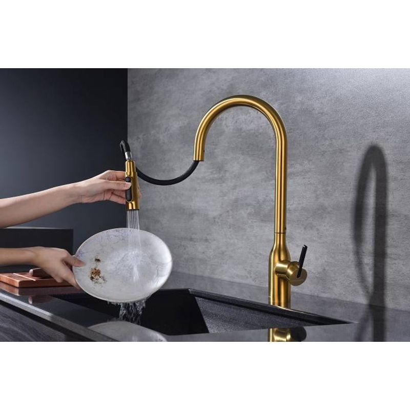 Смеситель для кухни Paulmark Universal Un213880-BG брашированное золото