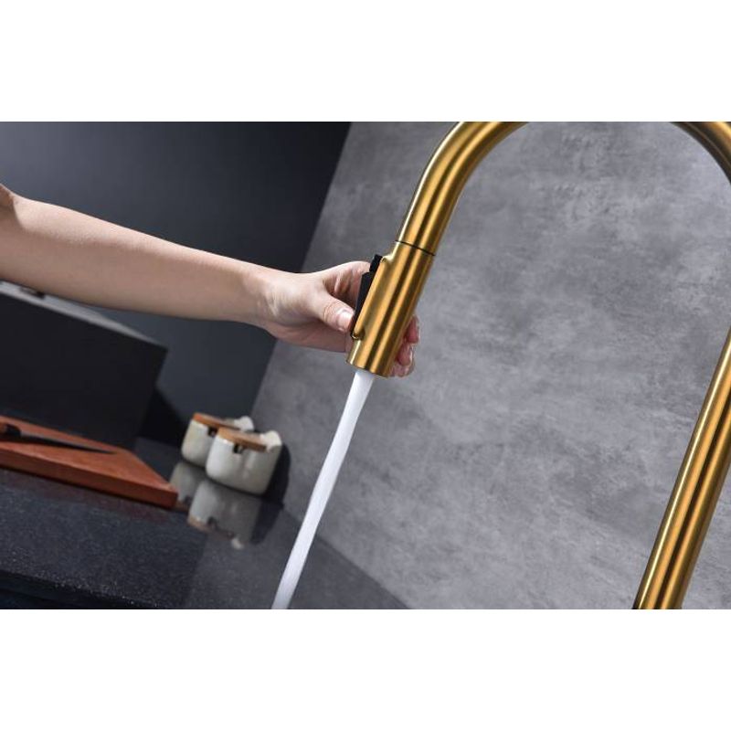 Смеситель для кухни Paulmark Universal Un213880-BG брашированное золото