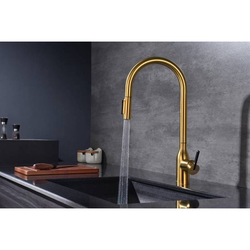 Смеситель для кухни Paulmark Universal Un213880-BG брашированное золото