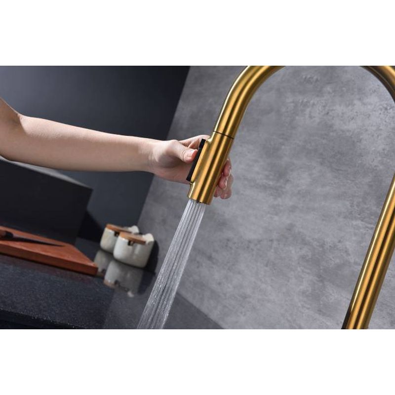 Смеситель для кухни Paulmark Universal Un213880-BG брашированное золото