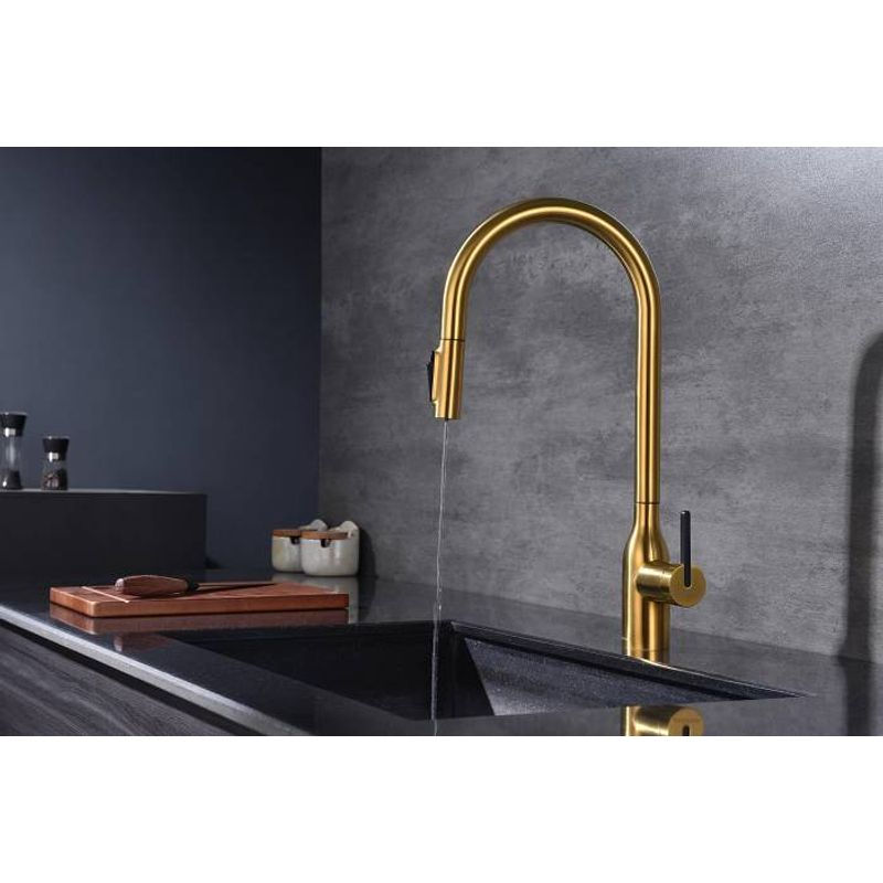 Смеситель для кухни Paulmark Universal Un213880-BG брашированное золото