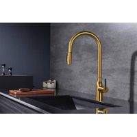 Смеситель для кухни Paulmark Universal Un213880-BG брашированное золото — 3