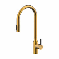 Смеситель для кухни Paulmark Universal Un213880-BG брашированное золото — 1