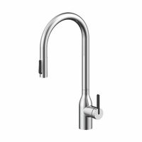 Смеситель для кухни Paulmark Universal Un213880-BS брашированная сталь — 1