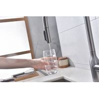 Смеситель для кухни Paulmark Universal Un213880-GM вороненая сталь — 12