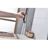 Смеситель для кухни Paulmark Universal Un213880-GM вороненая сталь — 11