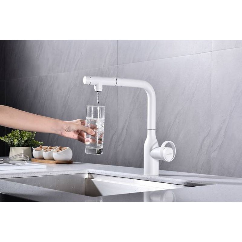 Смеситель для кухни Paulmark Urban Ur213104-431 белый матовый