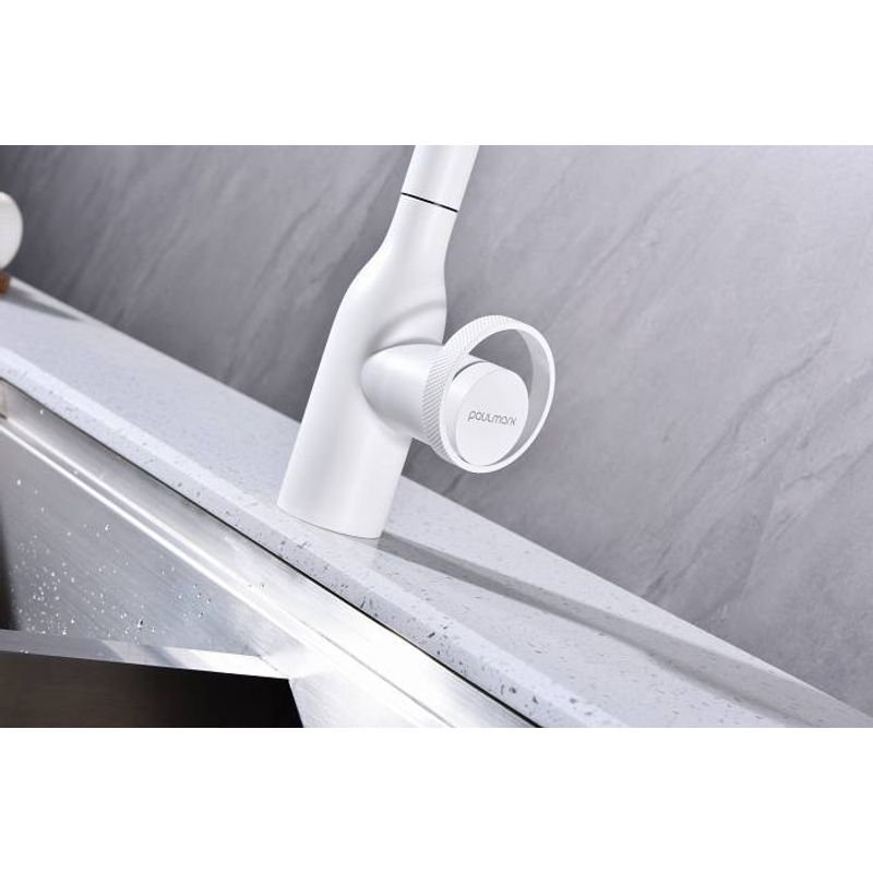 Смеситель для кухни Paulmark Urban Ur213104-431 белый матовый