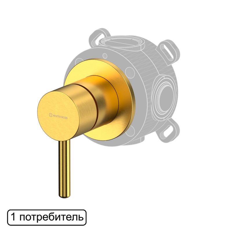 Смеситель скрытого монтажа для душа WHITECROSS Y Y1241GLB на 1 потребителя (брашированное золото)