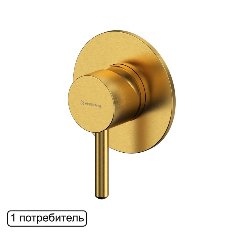 Смеситель скрытого монтажа для душа WHITECROSS Y Y1245GLB (брашированное золото)